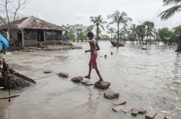 Of Pandemics and Storms in the Sundarbans Annu Jalais and Amites ...