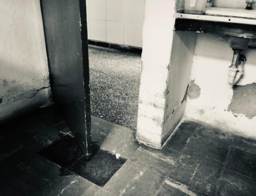 Intimate Precarities: Growing Old in Lima, Peru  Magdalena Zegarra Chiappori