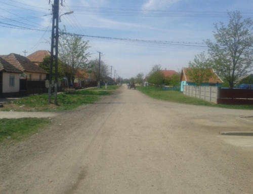 Religious Humanitarianism and Fateful Orientations among Pentecostal Kaale  Raluca Bianca Roman