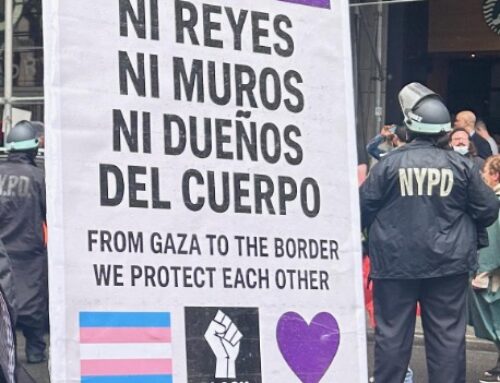 Organizing Against Immigration Enforcement and Beyond by Alexandra Délano Alonso