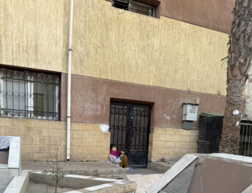 Awful Anthropology by Maryam Fouad