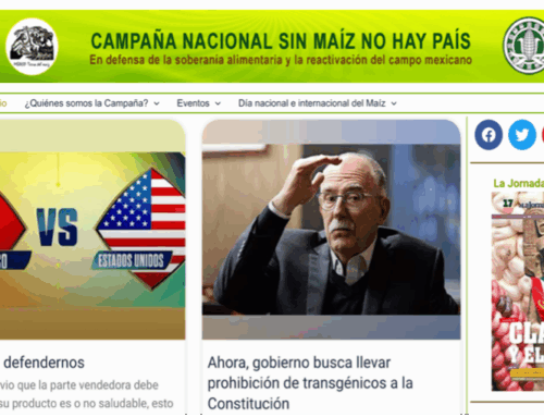 GM corn and challenges to Mexico’s food sovereignty by Elizabeth Fitting