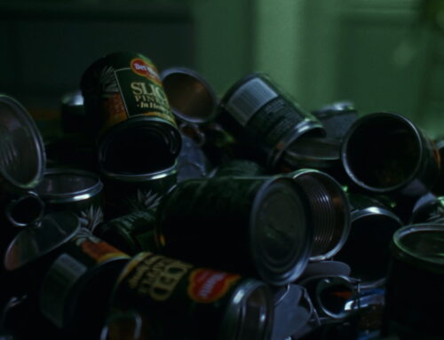 Waste & Hong Kong Post/Coloniality in Chungking Express  by Jo Gao