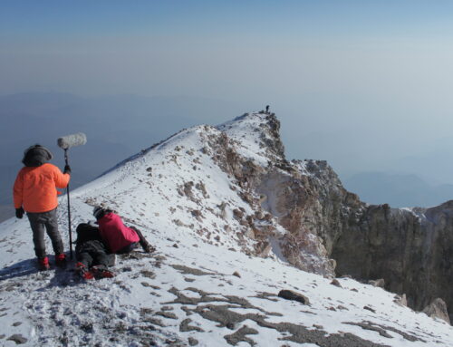 Listening, Response-Ability, and the Disappearance of Mexico’s Last Glacier by Amanda Macedo Macedo