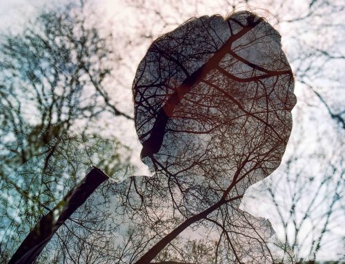 Bienvenue en France: The Poetics of Vulnerability by Camilo Leon-Quijano