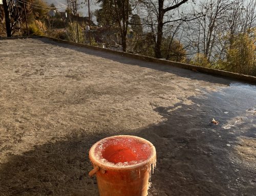 Panic! at the Fieldsite, or the Disingenuity of Clear Narratives by Nishtha Tewari